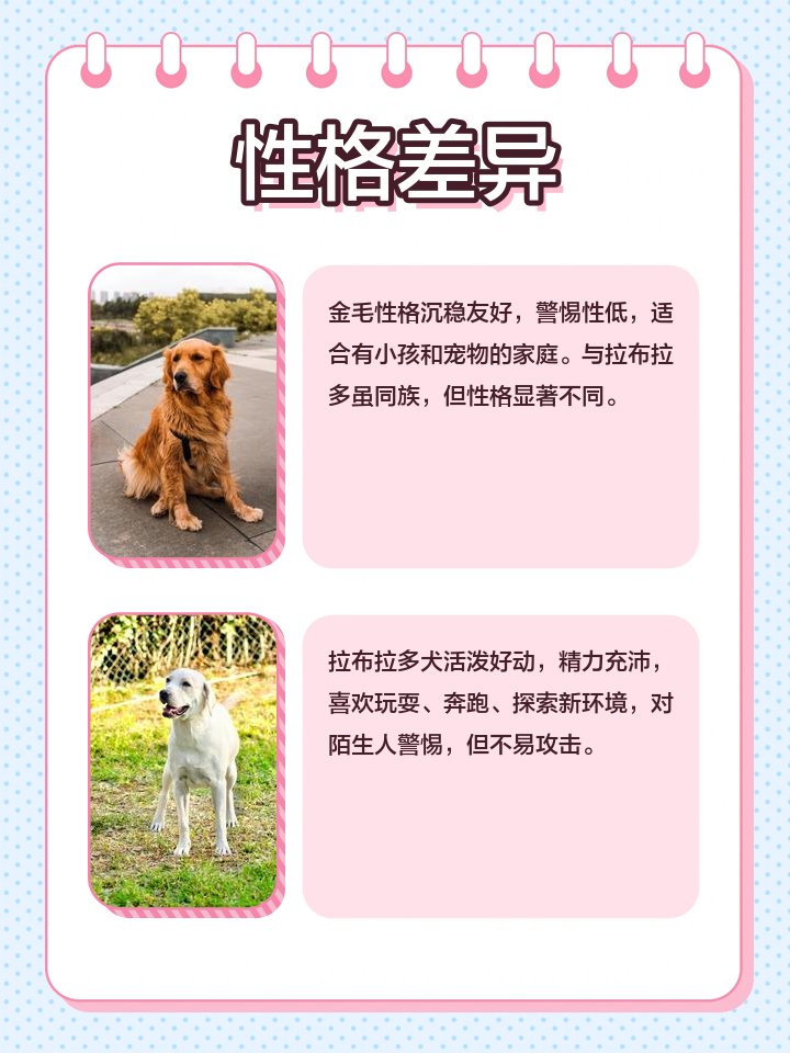 Rosalind T Larkin tweet media