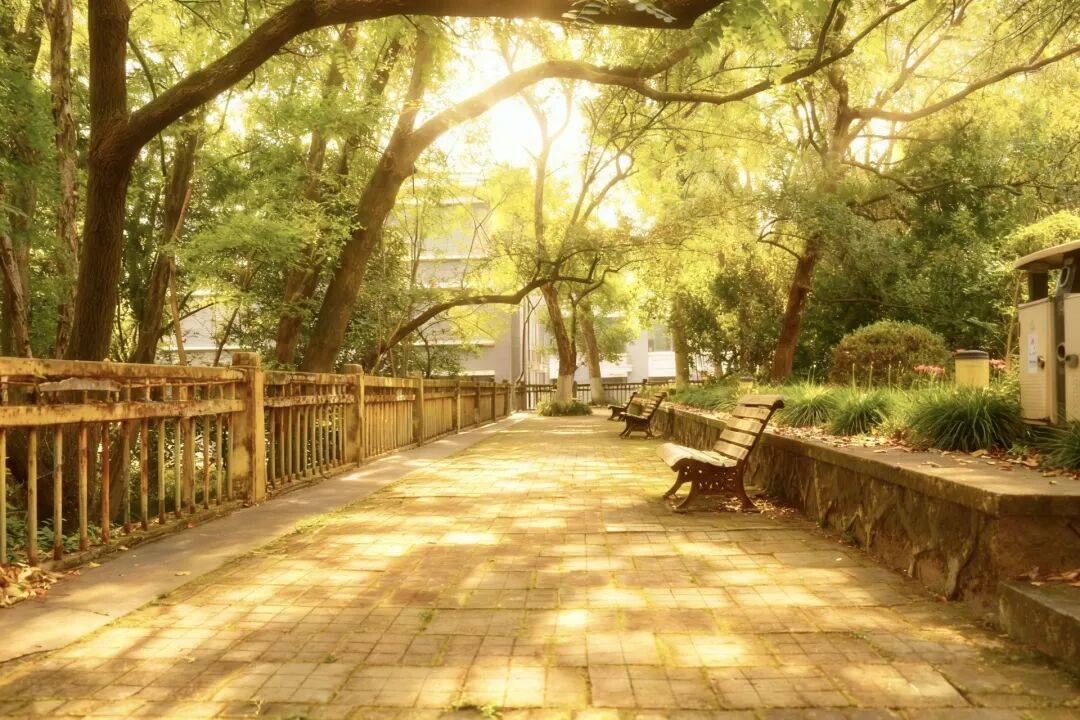 HernaTech tweet media