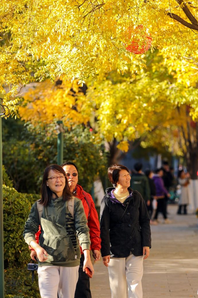 احمد عبد العال حسين tweet media