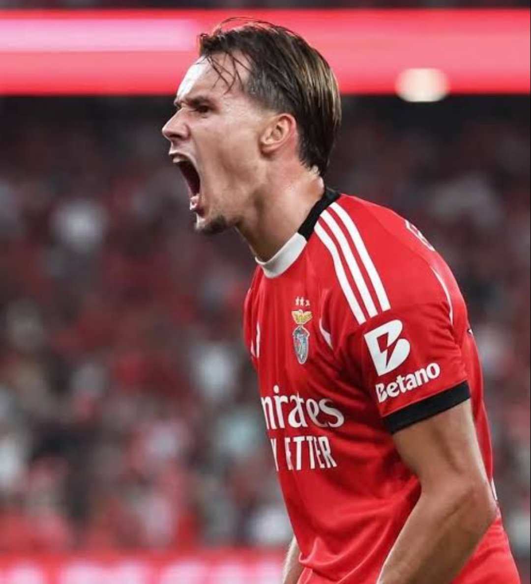 Sobretudo Benfica tweet media
