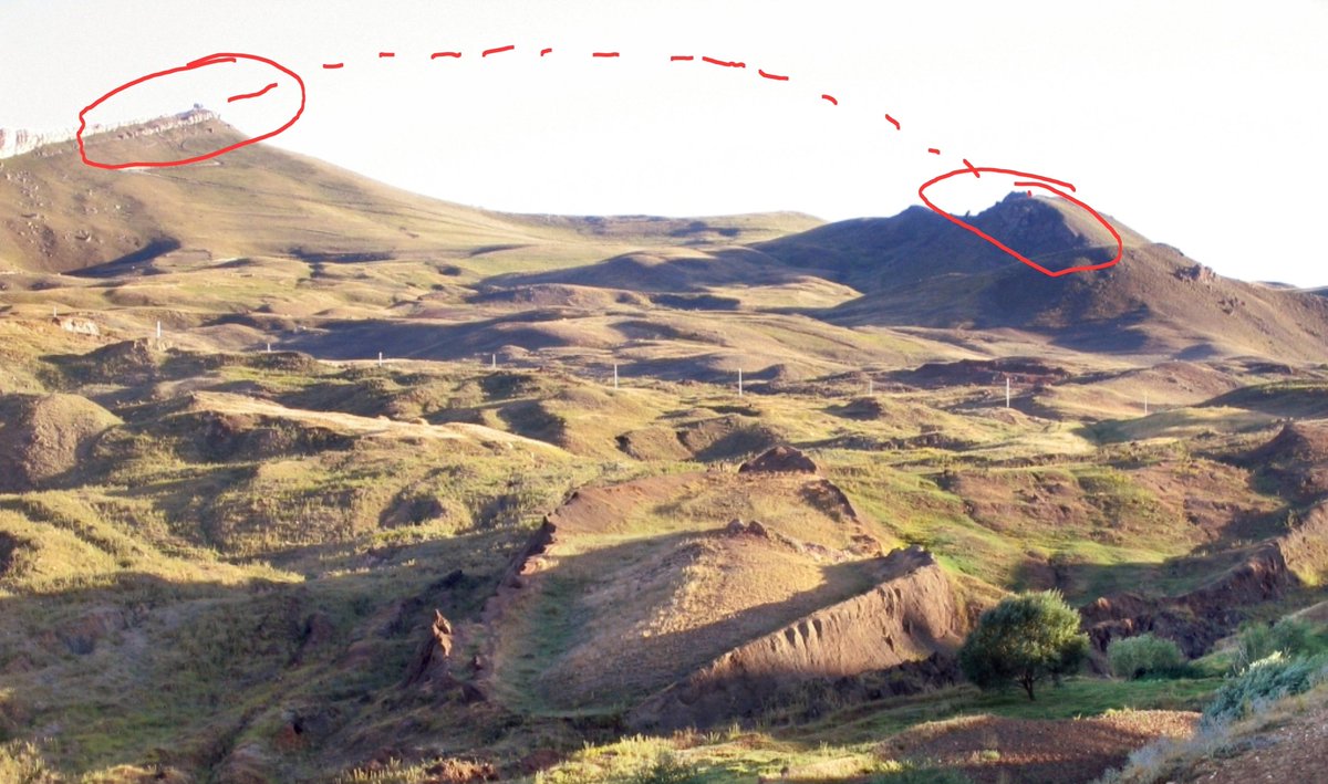 Lafe Nelson tweet media