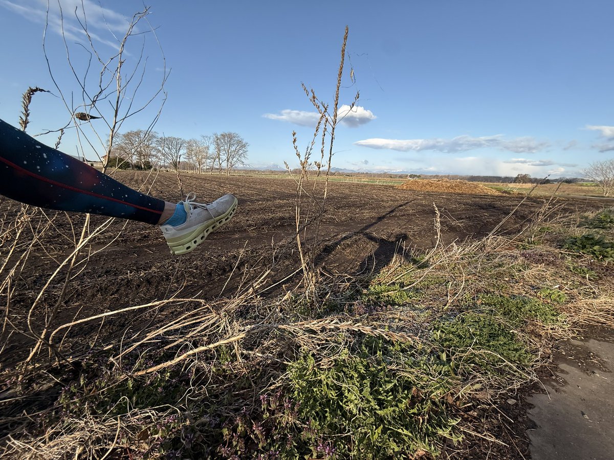 くまｼｬﾝ tweet media