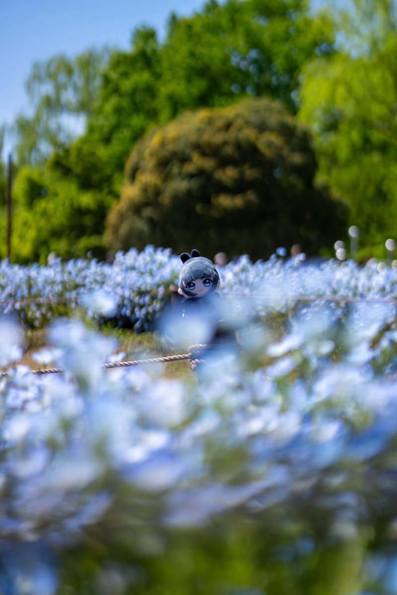 ゆとり猫P tweet media