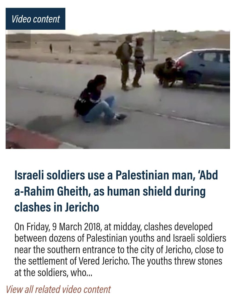 Milita 🫧 tweet media