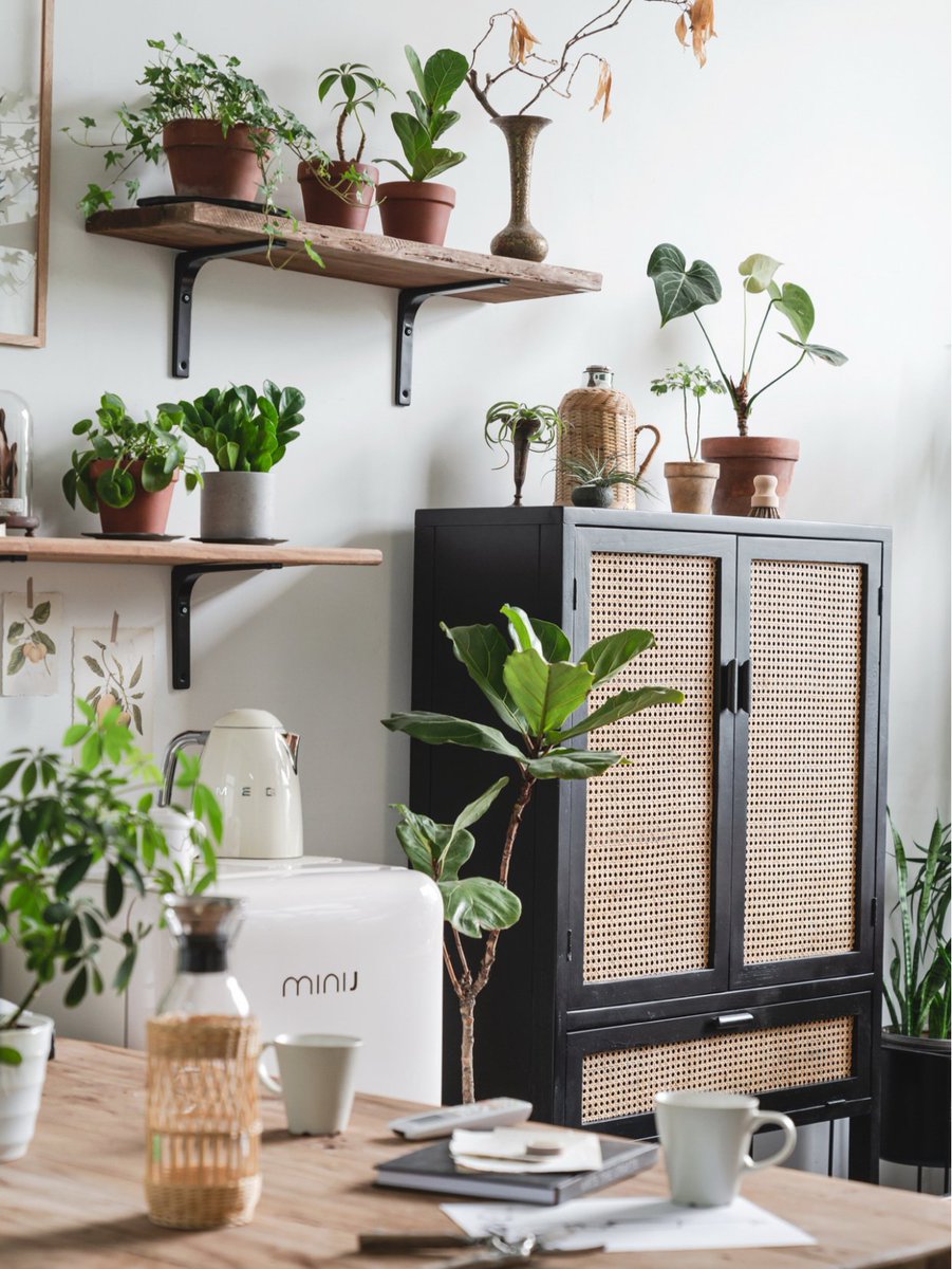 jousue ramos tweet media