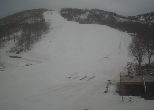 スキー場情報局 tweet media