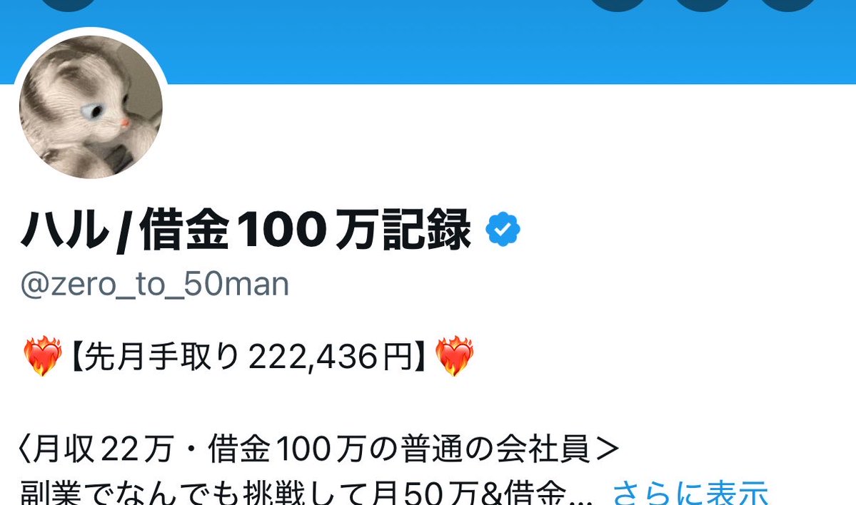 ハル/借金100万✖️月収24万会社員 tweet media