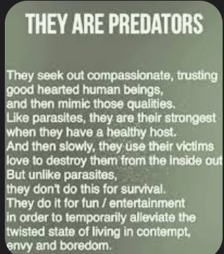 CookieKL's tweet image. They are #Predators who get off on this... 🤬 #facts #Narcissists
🖤😈👇👇💯💯💯💯