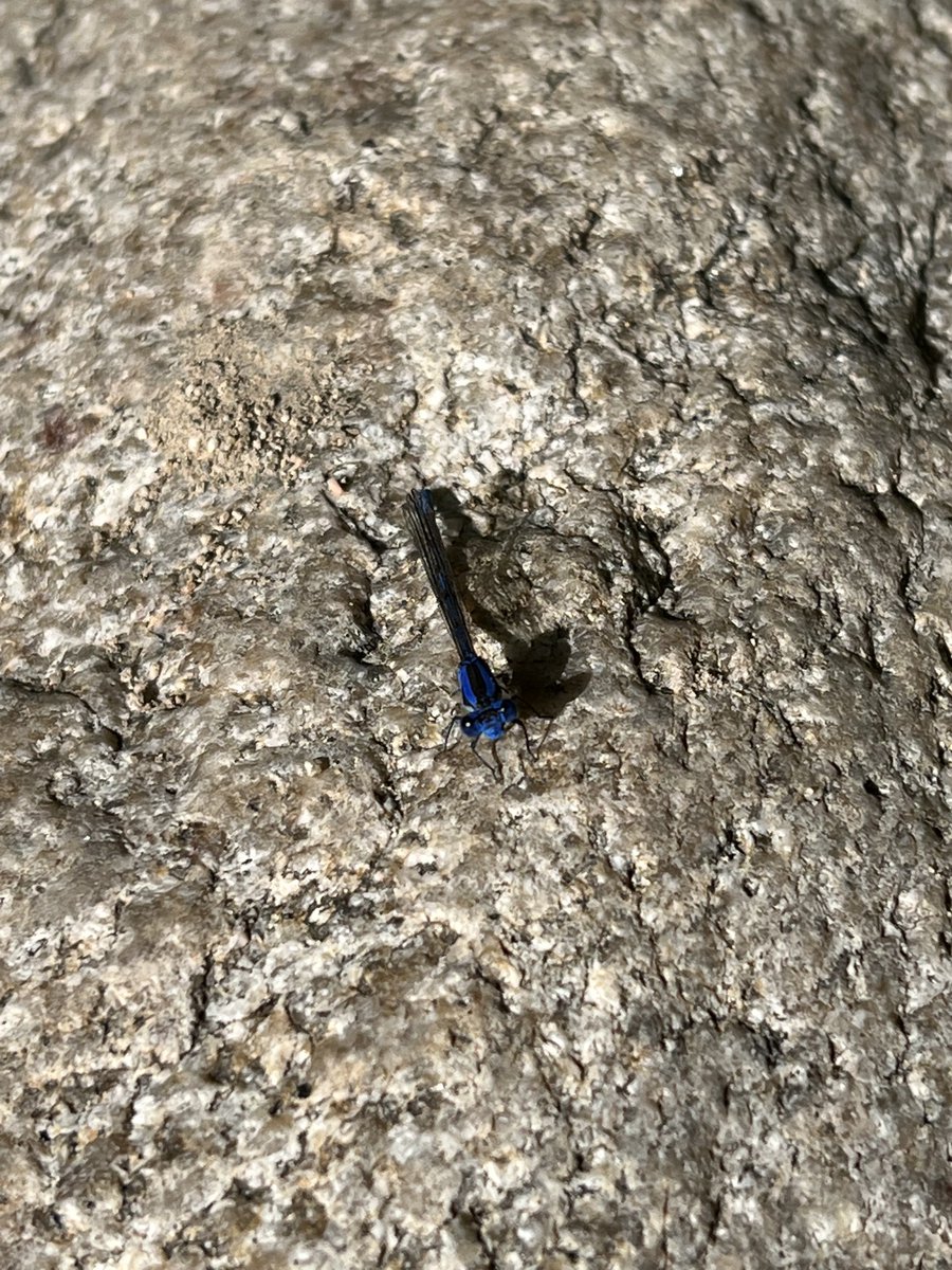 freckled__lady's tweet image. happy birthday earth