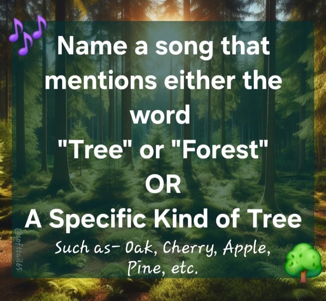 Monica 💙🌻🏳️‍🌈 tweet media