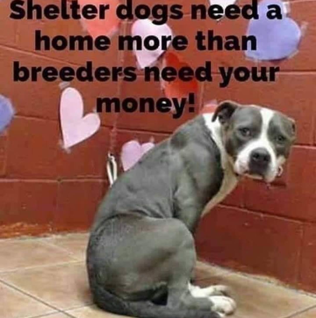 Bernadette tweet media