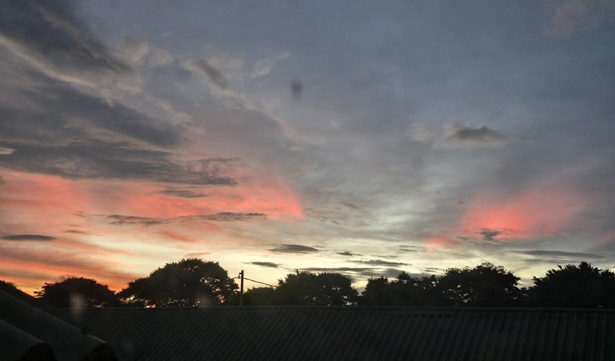 Daniel Gomez tweet media