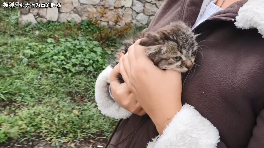 Jack  Boone  tweet media