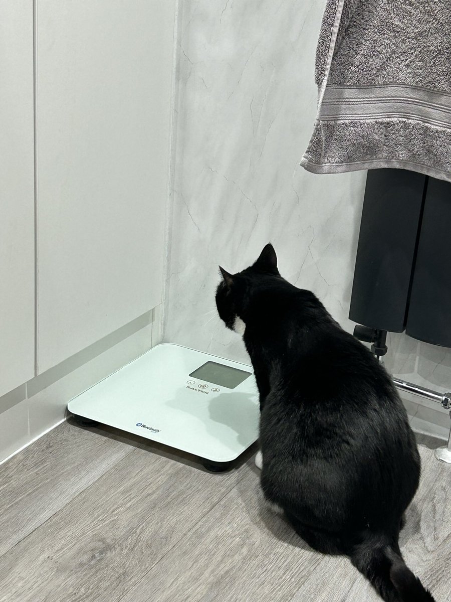 luca 🪷♡ 2/3.5 tweet media