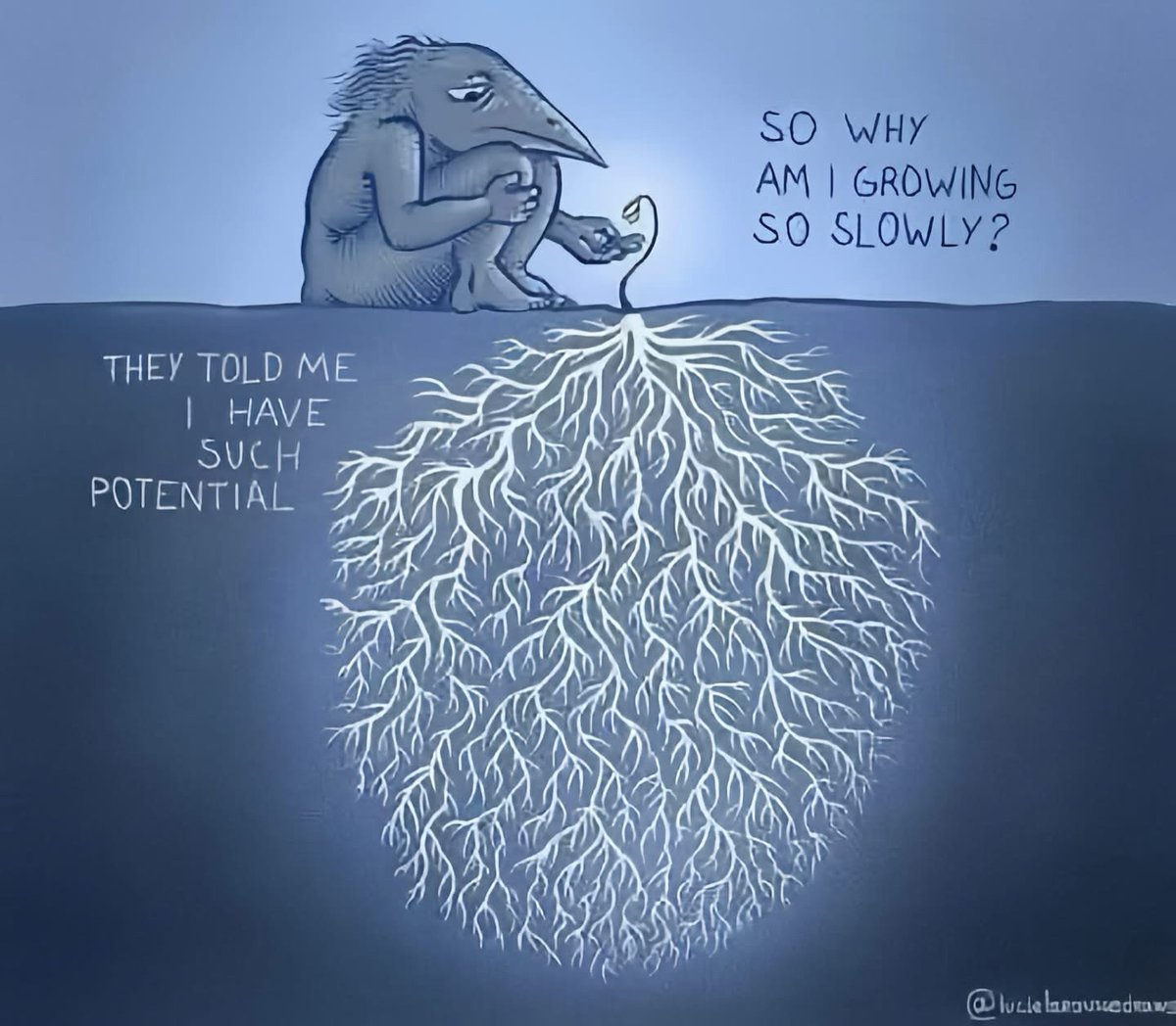 Growing quietly where no one can see, roots first, everything else will follow.