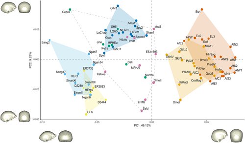 Phillip05166897's tweet photo. Sorry for the wait, had to find these pretty charts. The more complicated matter is explaining the "forehead" issue. https://t.co/FHxUUiPivZ