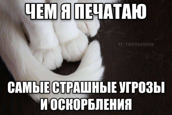 °•🍓•° ãðą tweet media