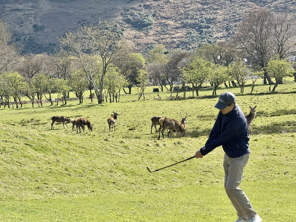 Jim Hartsell tweet media