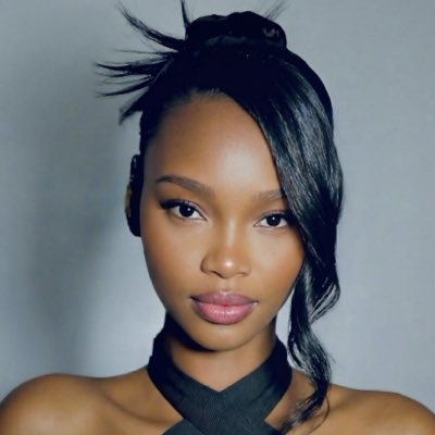 Dionne Davenport 🇸🇩🇨🇩🇵🇸 ⚖️👩🏾‍💻 tweet media