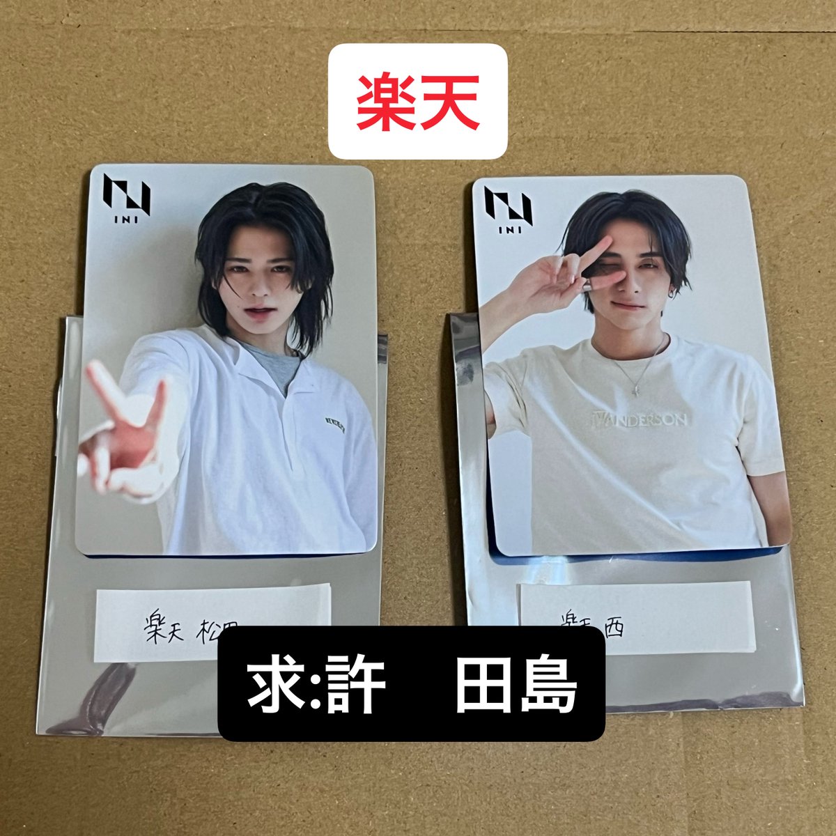 🧸🧸 tweet media