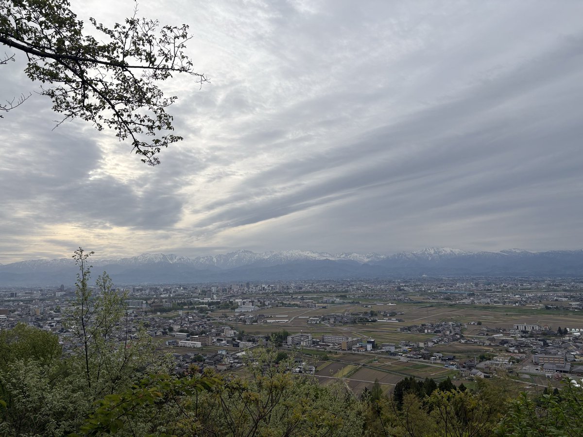 むーちゃん tweet media