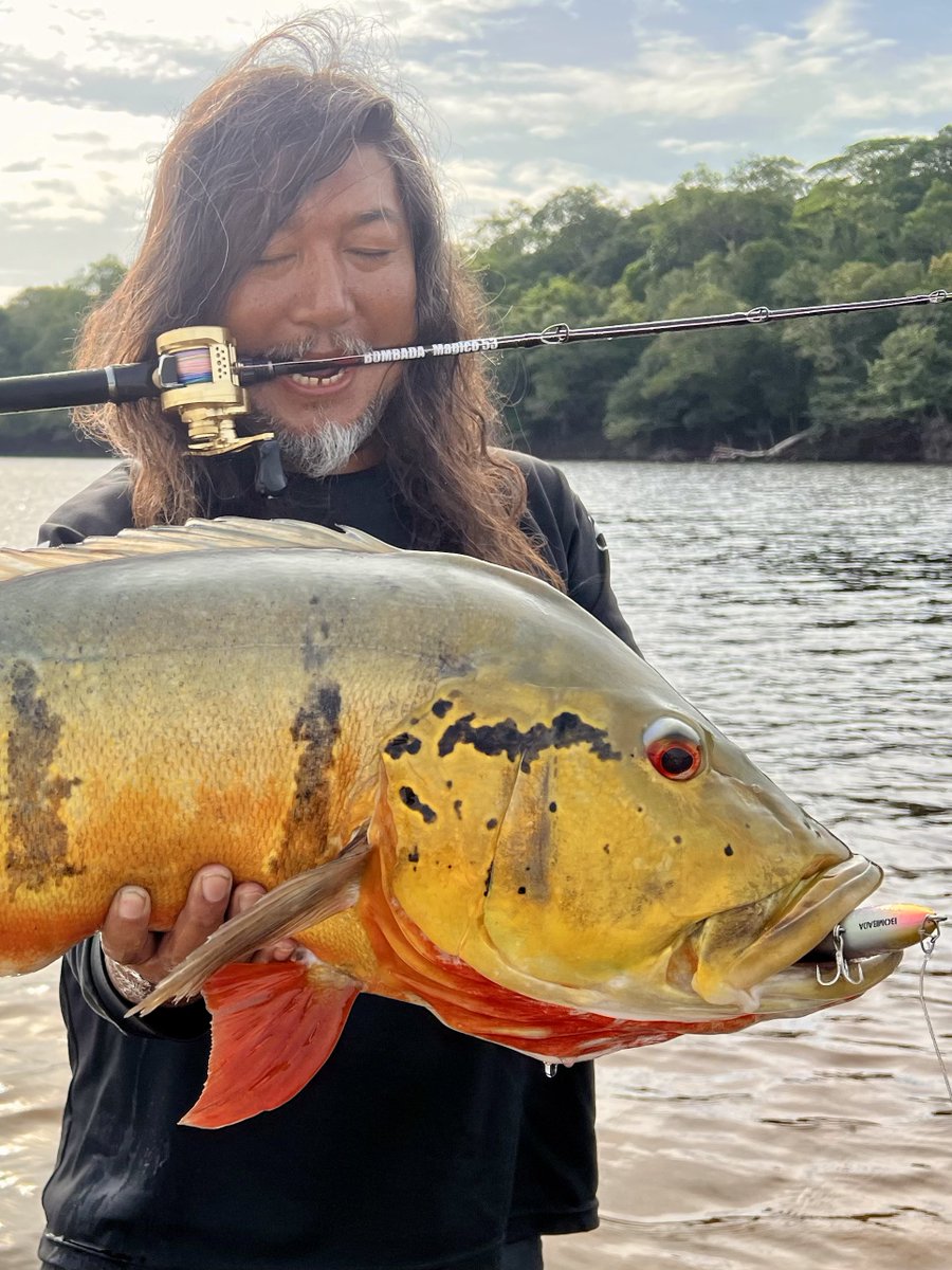 BOMBADATERU tweet media