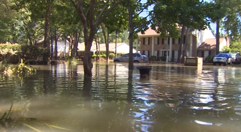 Amanda Henderson tweet media