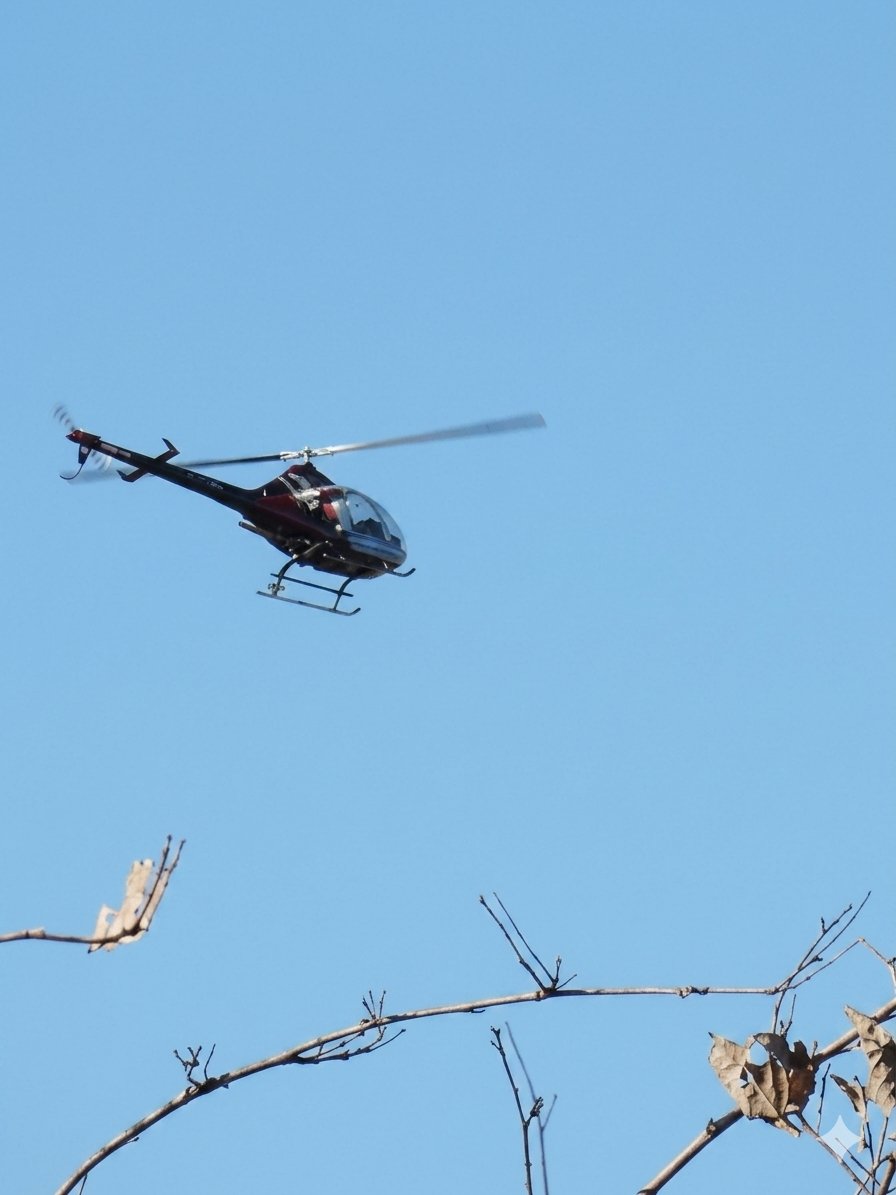 SnappyCapture's tweet image. Just over 200ft up and buzzing straight over the garden… managed to catch the moment perfectly 🚁📸 right place, right time! #Helicopter #LowFlying #RightPlaceRightTime