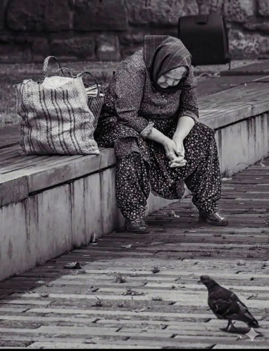 Azmat Sheikh tweet media