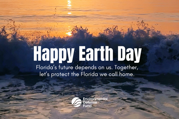 Environmental Defense Fund - Florida tweet media