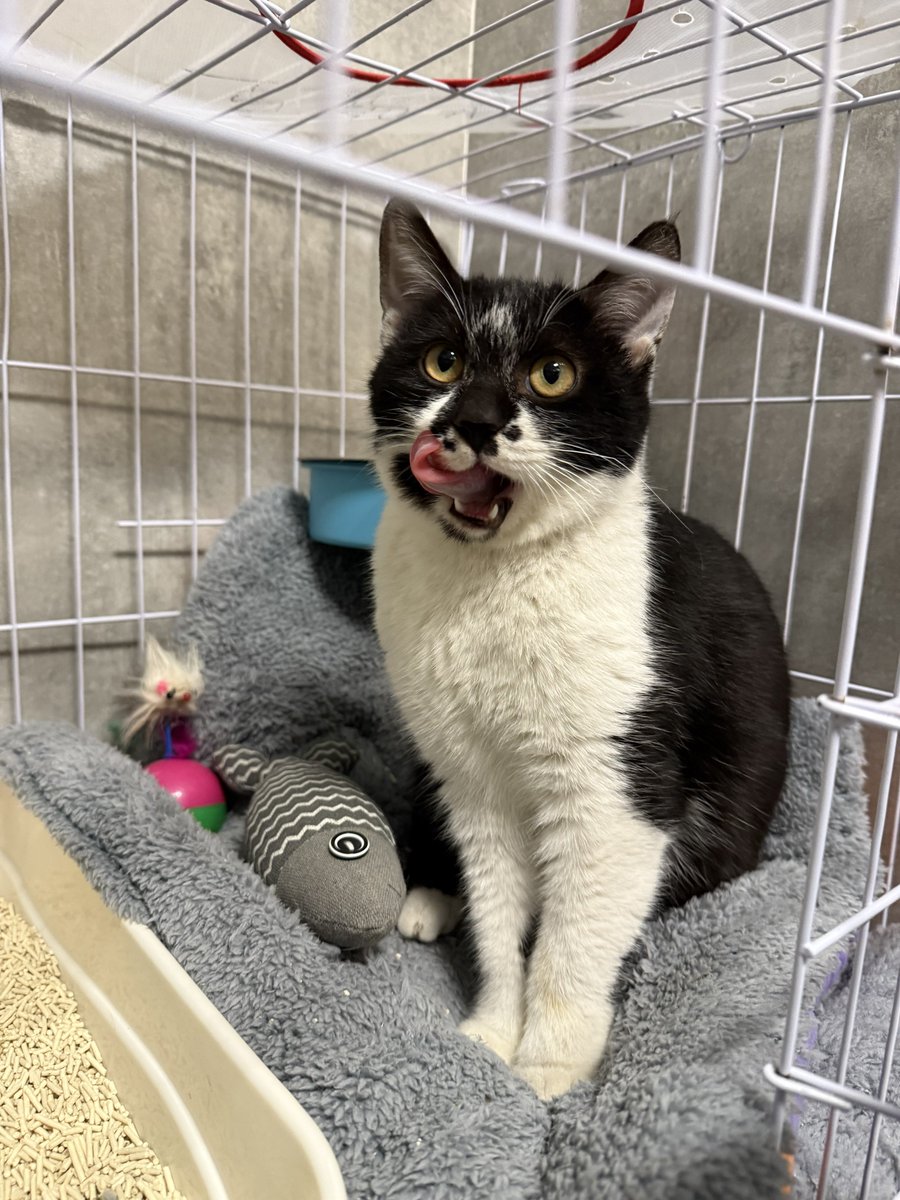 Boooo波妞! tweet media