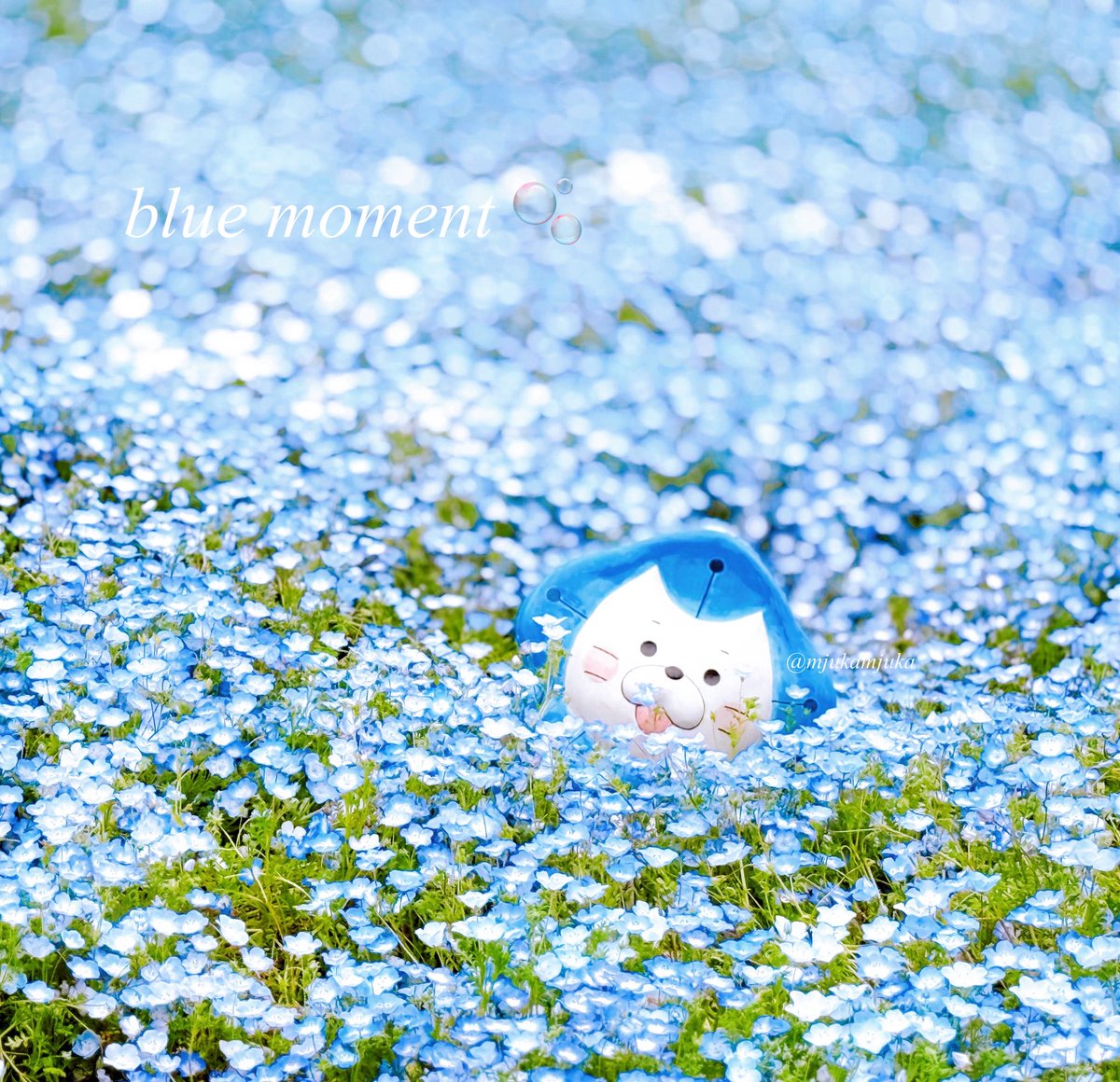 🎀りぼん🎀 tweet media