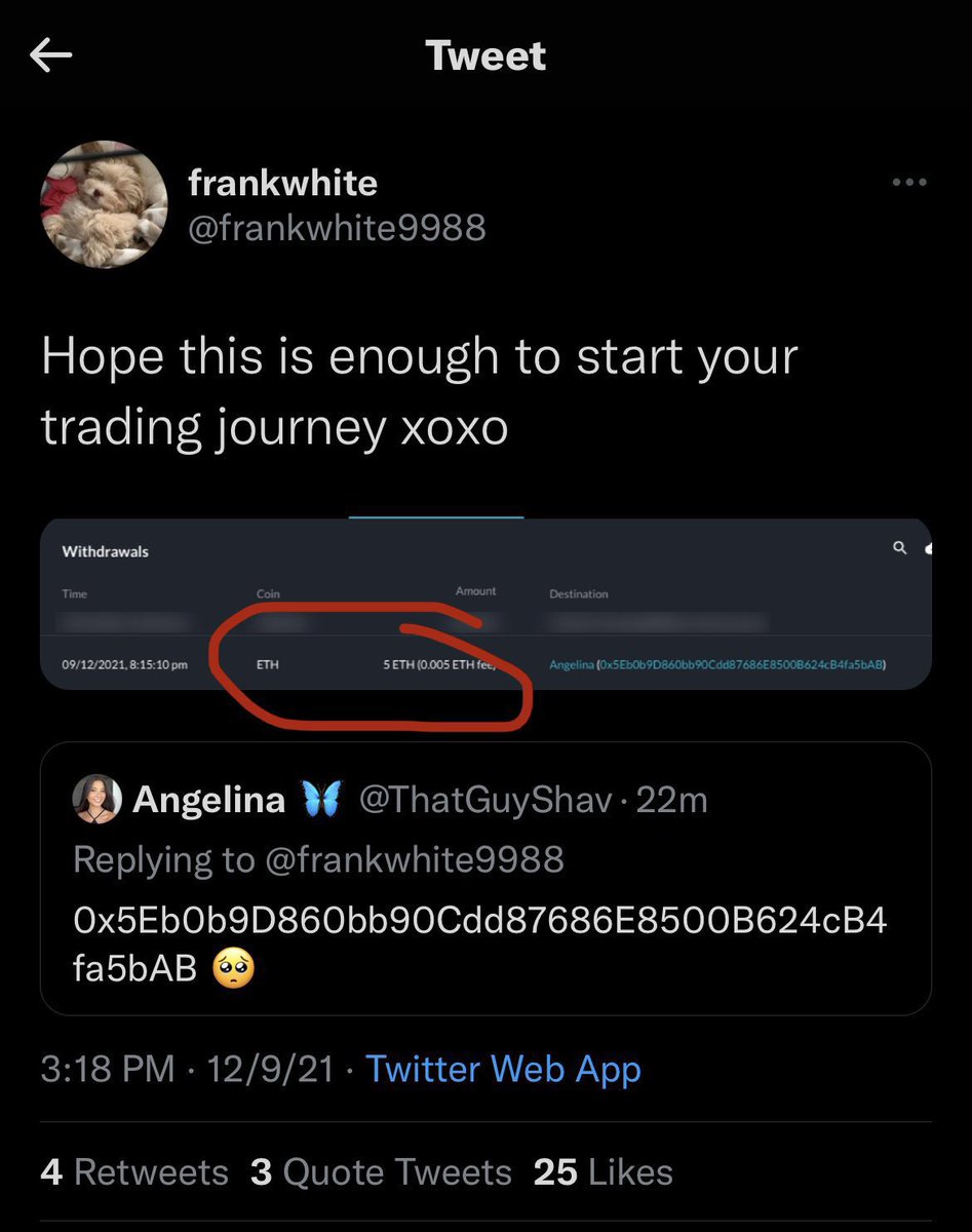 kira 👾 tweet media