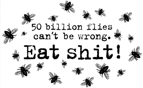 Hey <a href="/piersmorgan/">Piers Morgan</a> , Do you know how many flies eat shit every day?!
