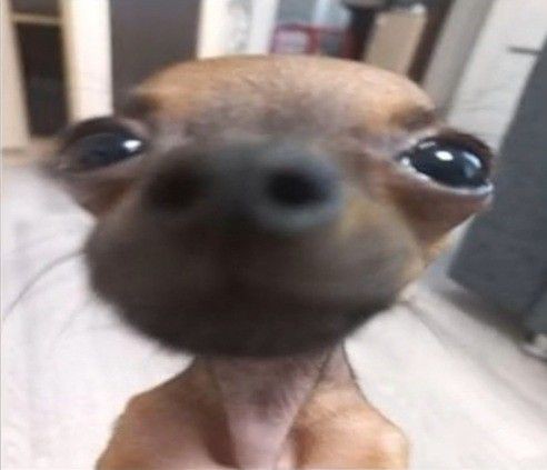 Ghosting must die tweet media