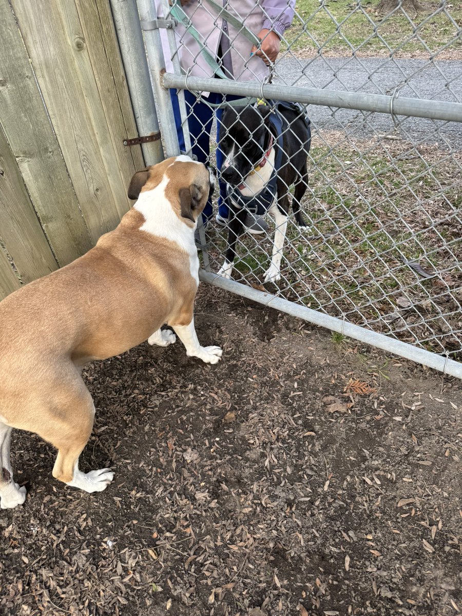 Opus 🇨🇦 tweet media