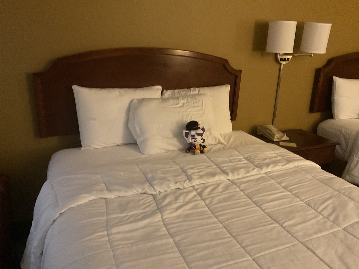 The YonKaGor Collection! tweet media