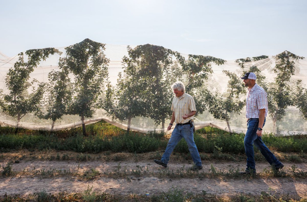 AmericanAg's tweet photo. This Earth Day, we recognize the producers who care for the land every day of the year.  
Thank you for the work you do to protect the land that feeds us all.
#EarthDay #Sustainability https://t.co/1ncsUOSR4A