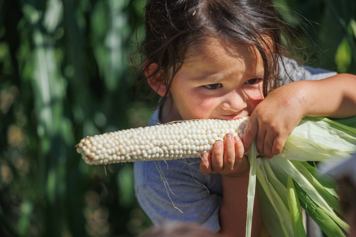 AmericanAg's tweet photo. This Earth Day, we recognize the producers who care for the land every day of the year.  
Thank you for the work you do to protect the land that feeds us all.
#EarthDay #Sustainability https://t.co/1ncsUOSR4A