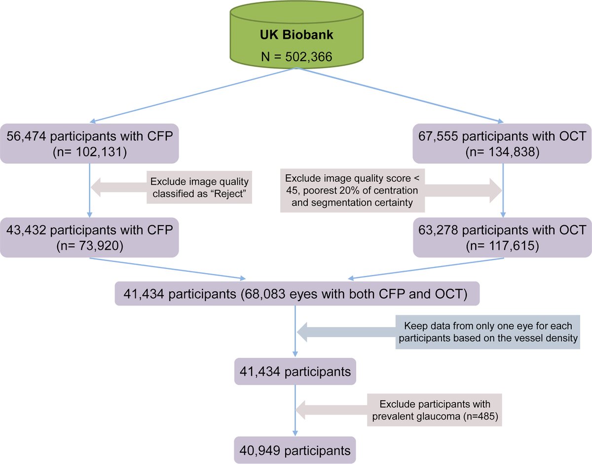Ophthalmology tweet media