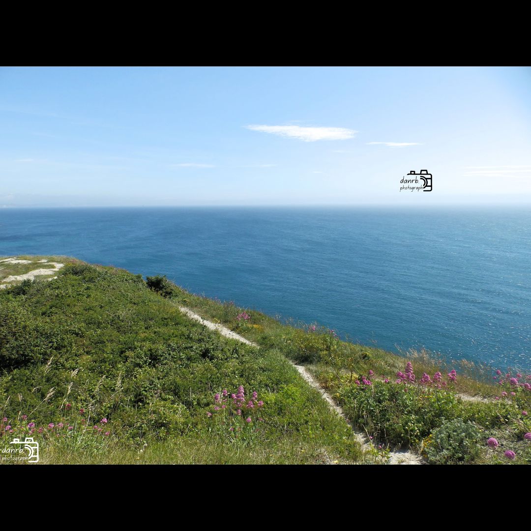 danrbphot0graph's tweet image. Portland Coast!
#photography #coast #dorset #portland #ocean