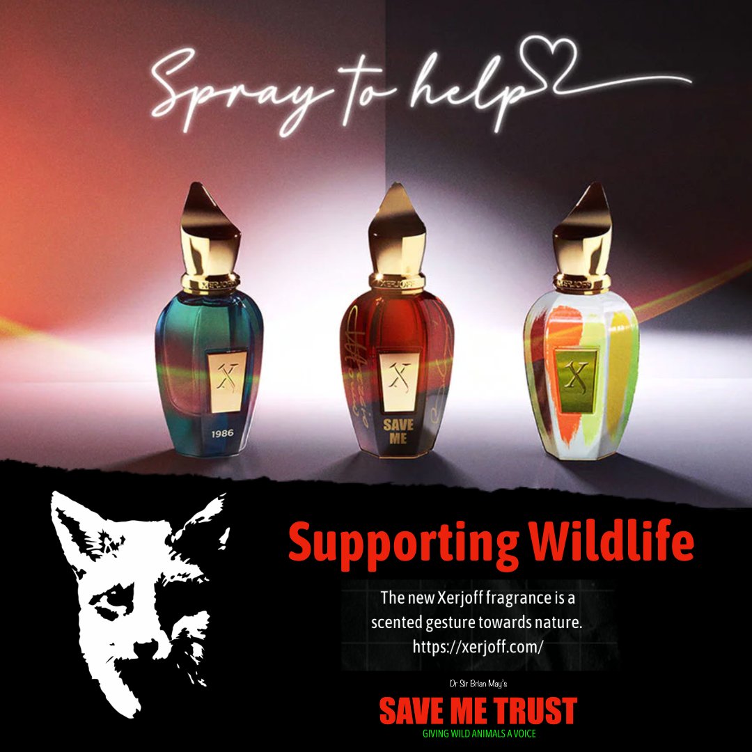The Save Me Trust tweet media