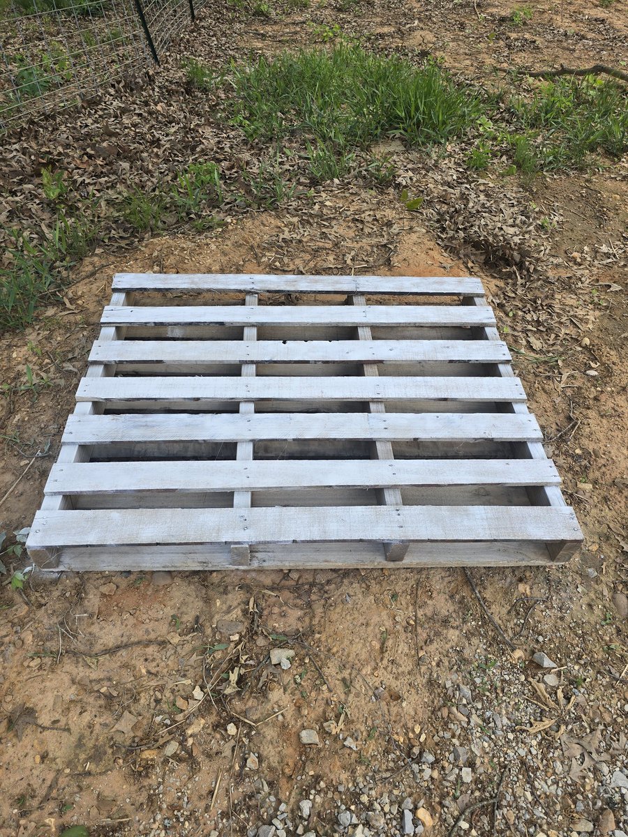 Johnny Appleseed tweet media