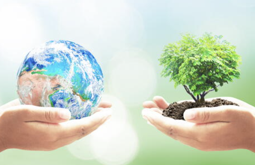 RockStar HotDogs tweet media