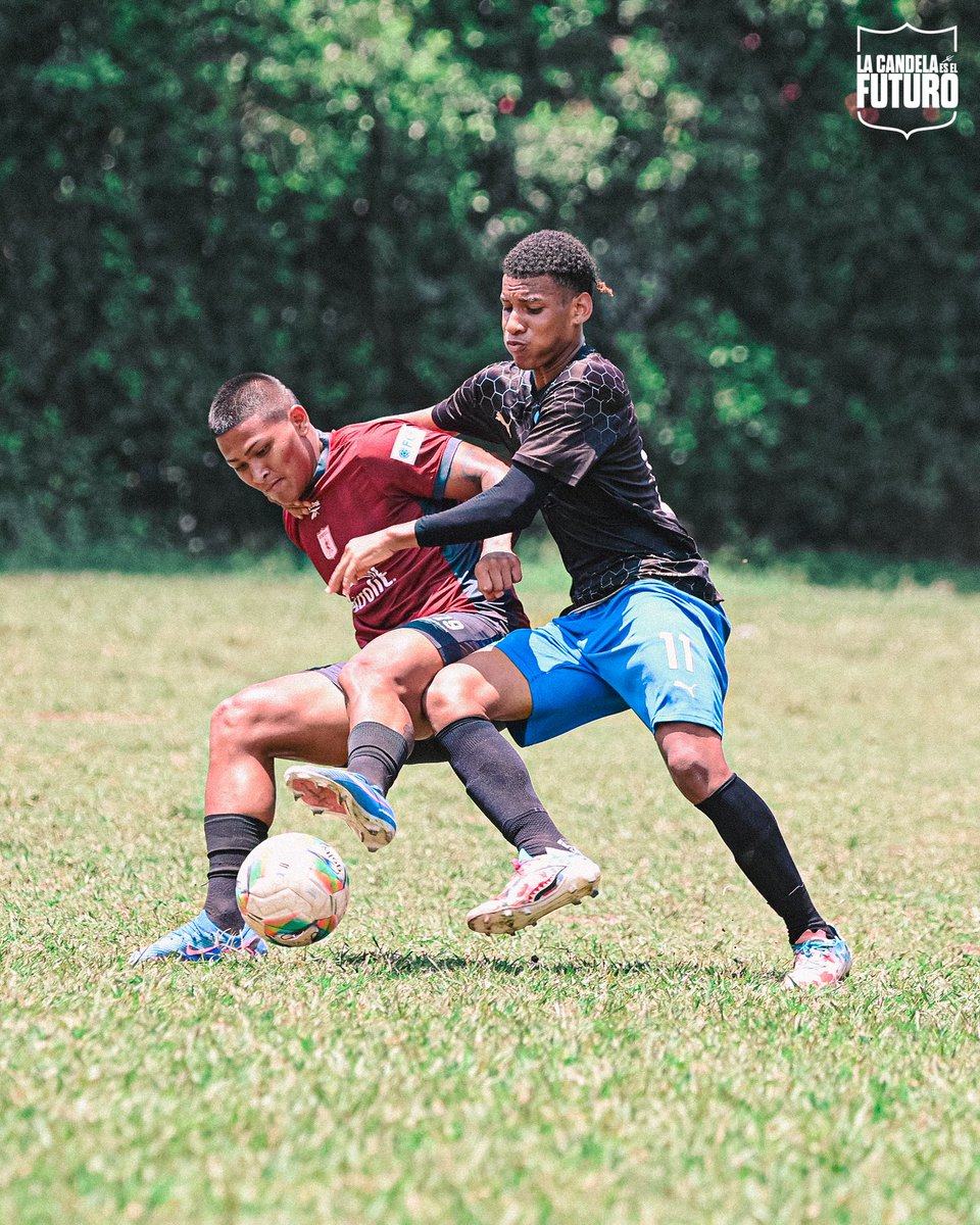 Categorías de Formación América de Cali tweet media