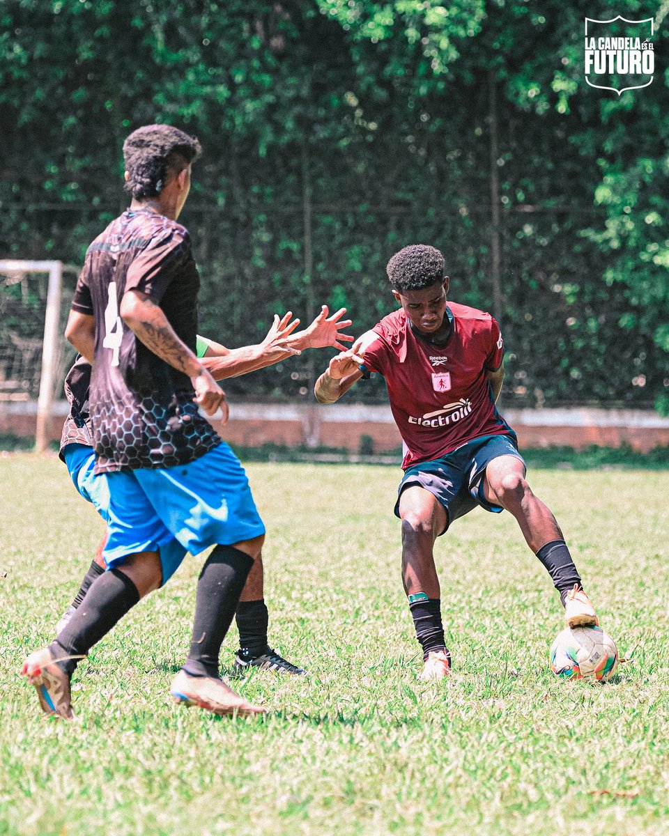 Categorías de Formación América de Cali tweet media