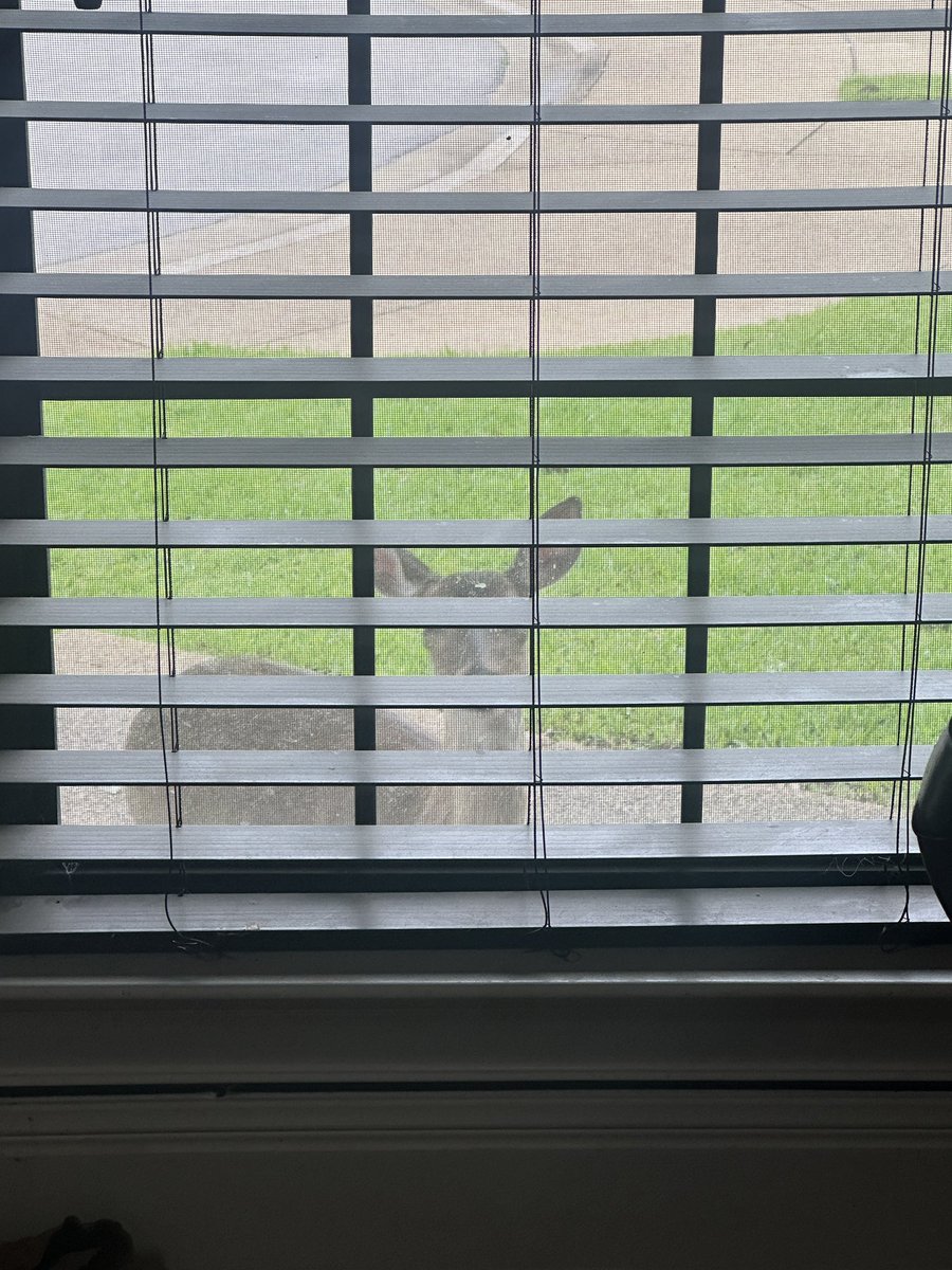 Kelly 💫 tweet media