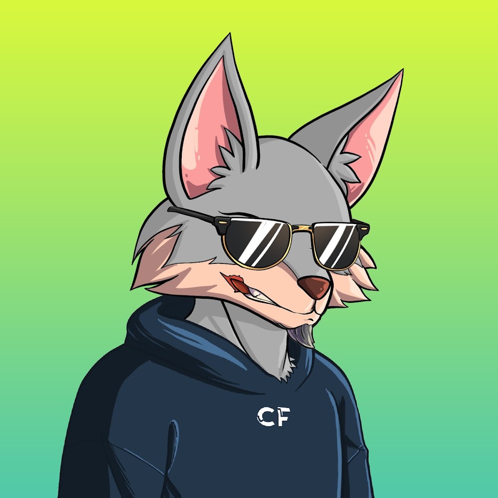 Solana Biker 💎 tweet media