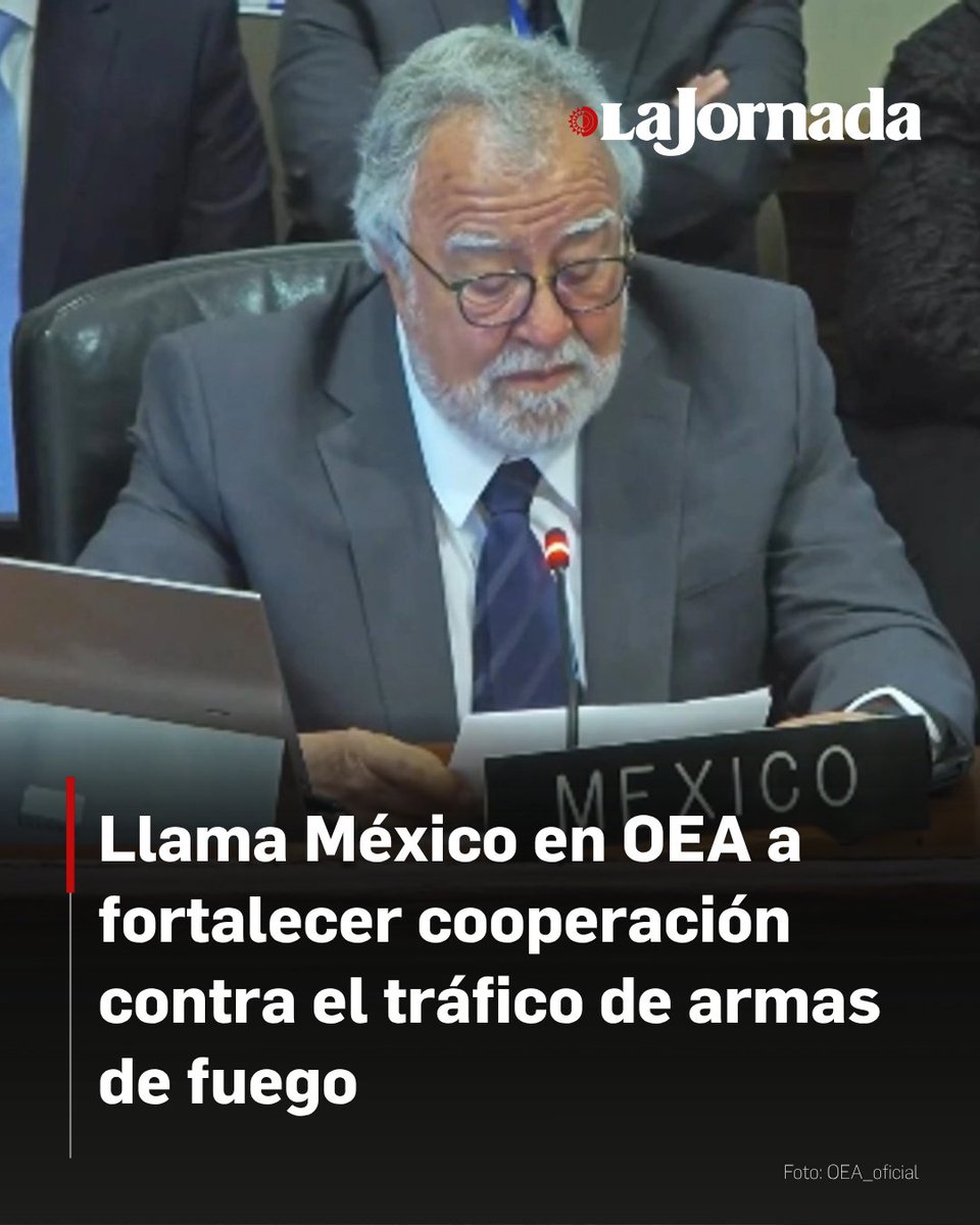México y otras 15 naciones del hemisferio suscribieron un llamado conjunto ante la Organización de los Estados Americanos (OEA) para fortalecer la cooperación regional contra la fabricación y el tráfico ilícito de armas de fuego.

Durante la sesión del Consejo General, el