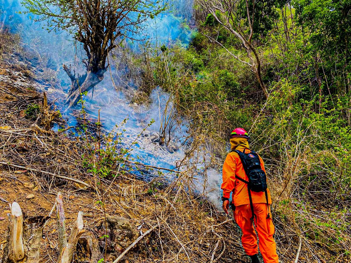 TelenoticiasGMV's tweet photo. Cuerpo de bomberos reporta que atendieron incendio en terreno con abundante vegetación seca y hojarasca, en Potonico, Chalatenango.

#TNM #GMV https://t.co/nso5RAWuHS